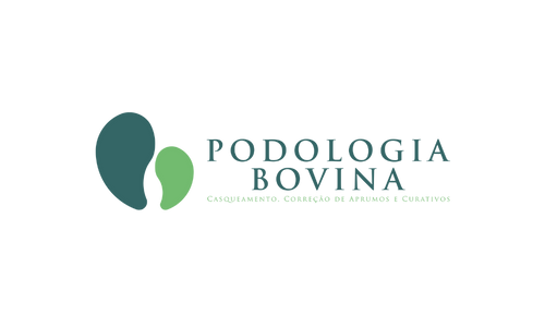 lider-cliente-pswex-tecnologia-desenvolvimento-de-aplicativos-sites-ecommerce-trafego-pago-criacao-de-sites-34.png